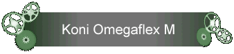 Koni Omegaflex M